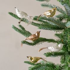 three gold and white birds sitting on top of a pine tree next to each other