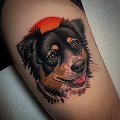 a close up of a dog's face on a person's leg with the sun in the background