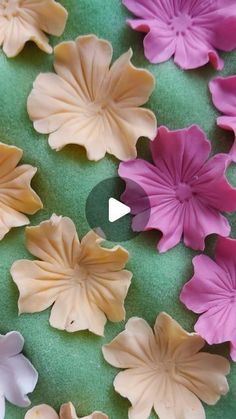 some pink and white flowers on a green surface