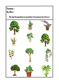 an image of different types of trees and plants