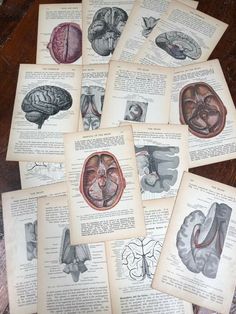 an old book with pictures of human organs on it