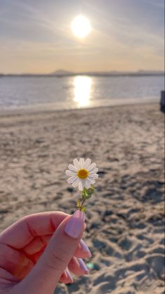 a person holding a daisy in their hand on the beach with the sun behind them