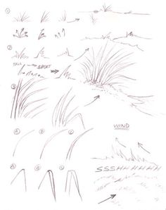 a drawing of some plants and grass on the ground with arrows pointing in different directions