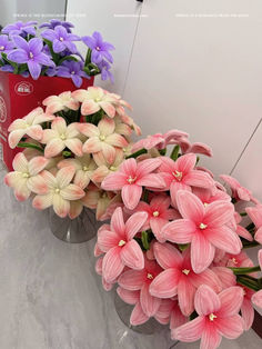 pink and white flowers sitting in vases on a counter top next to each other