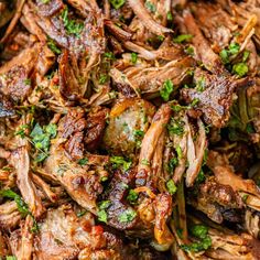 shredded meat with parsley on top in a bowl