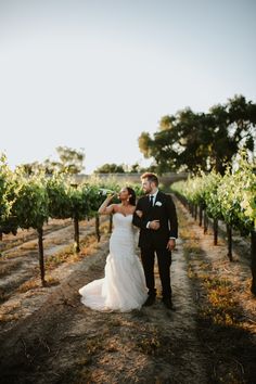 a newly married couple walking through the vineyard