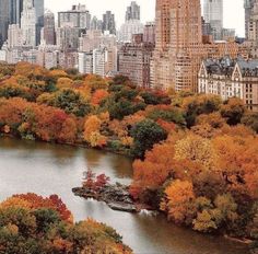 an aerial view of a river surrounded by tall buildings and trees in the foreground