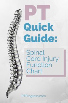 Spinal Cord Injury Chart Pt School, Physical Therapy School, Physical Therapy Student, Physical Therapist Assistant, Physical Therapy Assistant, Pediatric Physical Therapy, Studio Pilates, Spinal Injury, Spine Health