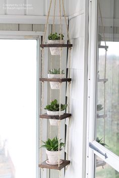 a hanging planter filled with succulents in front of a window