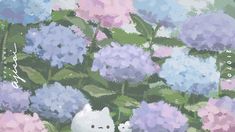 there is a cat that is sitting in the middle of hydrangea flowers with words written on it