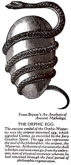 an image of a snake in the form of a ball