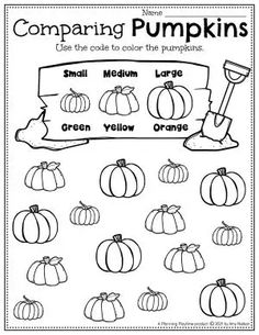 comparing pumpkins worksheet for kids to learn how to count them into different colors