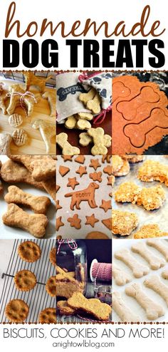 homemade dog treats that are easy to make and great for the dogs in your life