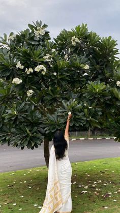 a woman reaching up into a tree with white flowers on it's leaves and branches