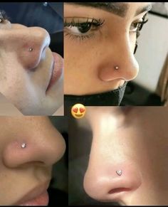 the nose has three different types of piercings on it