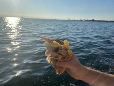 a person holding up a piece of food in their hand over the water at sunset