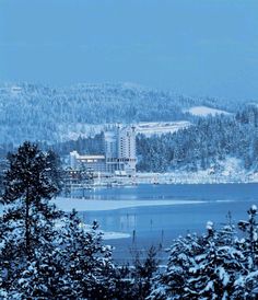 a snowy landscape with trees and buildings in the distance on a clear day near a body of water