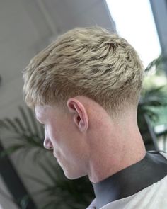 Taper Fade Haircut Blonde Men, Blonde Low Taper Fade, Blonde Skin Fade, Low Fade Blonde, Taper Fade White Men, Low Taper Fade Haircut Blonde, Blonde Taper Fade, Burst Taper Fade, Taper Fade Long Hair