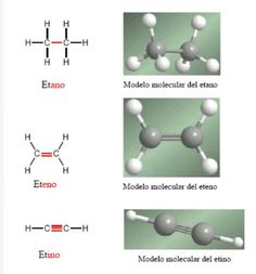 the diagram shows different types of benzodeine and benzolene in various ways