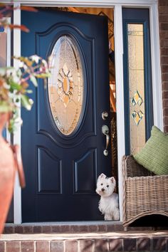 a small white dog sitting in front of a blue door next to a wicker chair