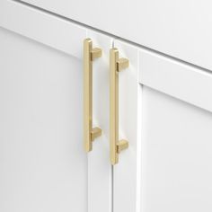 two brass handles are on the white cabinet doors, one is closed and the other is closed