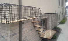 a bird cage sitting on the side of a building