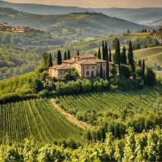 an old house sits on top of a hill in the middle of trees and hills