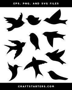 the silhouettes of birds flying in different directions