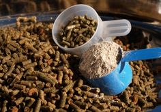 a blue bowl filled with food next to a scoop full of catnip seeds