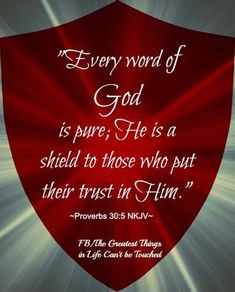 a red shield with the words, every word of god is pure he is a shield to those who put their trust in him