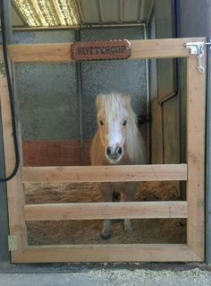 a white horse standing inside of a wooden stall with a sign on it's door