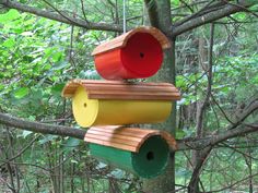 several bird houses hanging from a tree in the woods