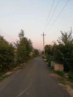 an empty road with power lines above it and trees on both sides at the end