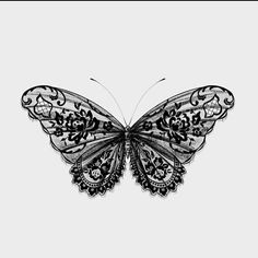 a black and white drawing of a butterfly