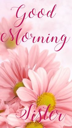 some pink flowers with the words good morning sister on it's front and side