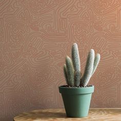 a green potted plant sitting on top of a wooden table next to a wall