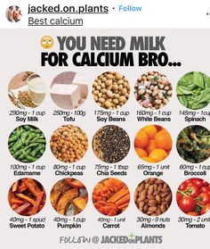 Vegan Calcium Sources, Vegan Calcium, Resep Vegan, Plant Based Protein Sources, Vegan Protein Sources, Foods With Calcium, Calcium Rich Foods, Plant Based Nutrition