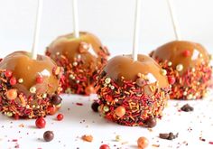 cake pops covered in chocolate and sprinkles