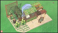 an image of a small garden in the middle of a yard with potted plants