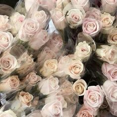 a bunch of pink and white roses are wrapped in plastic