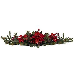 red poinsettia and greenery with green leaves on white background for christmas decoration