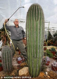 a man standing next to a cactus in a greenhouse