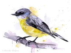 a watercolor painting of a bird sitting on a branch with yellow and blue feathers