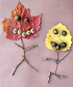 three different types of leaves and rocks on a table