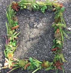 an arrangement of succulents and plants arranged in the shape of a heart