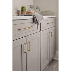 a kitchen with white cabinets and gold pulls on the handles, along with a potted cacti