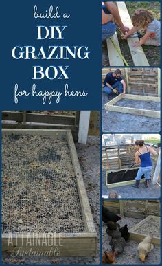 the diy grazing box for happy hens is an easy way to keep chickens out of the yard