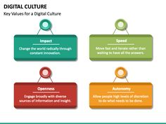 four different types of digital culture