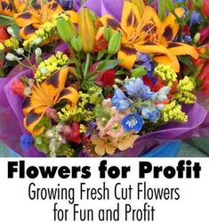 flowers for profit growing fresh cut flowers for fun and profits in the garden or yard