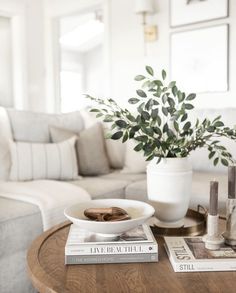 a living room with a couch, coffee table and plant in the centerpieces